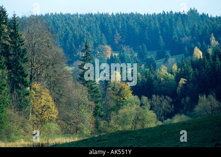 Finsterbach-Tal Stockfoto