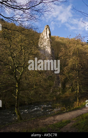 Die Kalkstein-Spitze bekannt als Ilam Rock in Dovedale, Peak District National Park, England Stockfoto