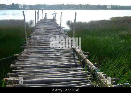 COBA LAGUNE Stockfoto