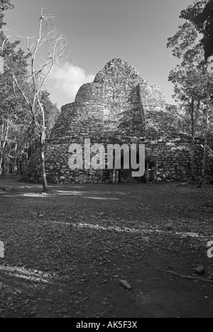 COBA PYRAMIDEN Stockfoto