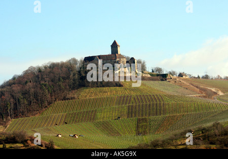 Burg Lichtenberg / Oberstenfeld Stockfoto