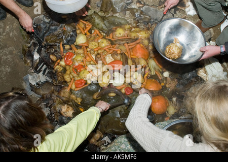 Eröffnung der Grube Ofen bei einem Curanto heißen Kochen in einer Grube Ofen Gemüse und Fleisch kochen auf Steinen Stockfoto