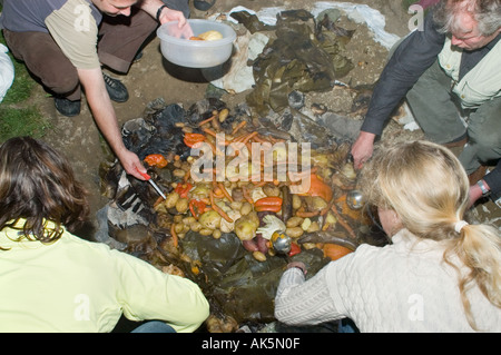 Eröffnung der Grube Ofen bei einem Curanto heißen Kochen in einer Grube Ofen Gemüse und Fleisch kochen auf Steinen Stockfoto