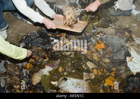 Eröffnung der Grube Ofen bei einem Curanto heißen Kochen in einer Grube Ofen Gemüse und Fleisch kochen auf Steinen Stockfoto