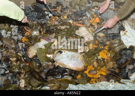 Eröffnung der Grube Ofen bei einem Curanto heißen Kochen in einer Grube Ofen Gemüse und Fleisch kochen auf Steinen Stockfoto