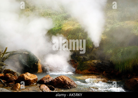 Tal der Geysire Stockfoto