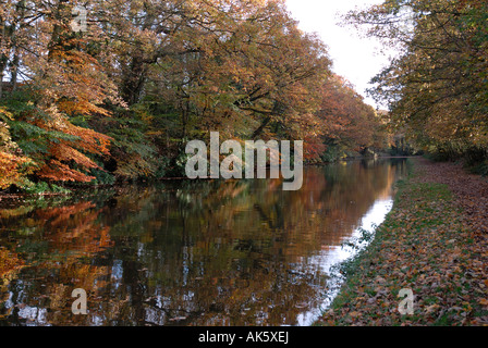 Eine Herbst-Szene auf dem Leeds/Liverpool-Kanal mit den Bäumen in herbstlichen Farben spiegelt sich im Wasser Stockfoto