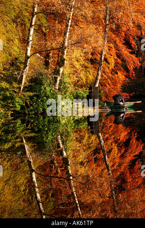 Herbstfarben in Faskally Wood reflektiert in Loch Dunmore Stockfoto