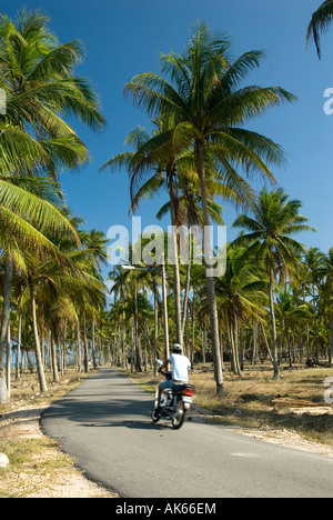Reiten unter Hunderte von Bäumen Stockfoto