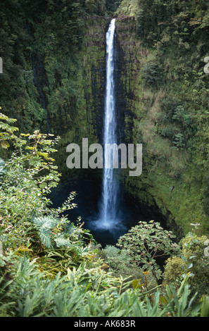 Akaka Wasserfälle an der Hamakua Küste von Big Island von Hawaii USA Stockfoto