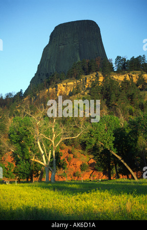 Devil es Tower in Wyoming, an einem Frühlingsmorgen Stockfoto