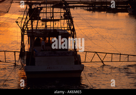 Angelboote/Fischerboote in den Hafen von Cocodrie im Delta Mississippi Flusses Stockfoto