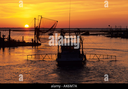 Angelboote/Fischerboote in den Hafen von Cocodrie im Delta Mississippi Flusses Stockfoto