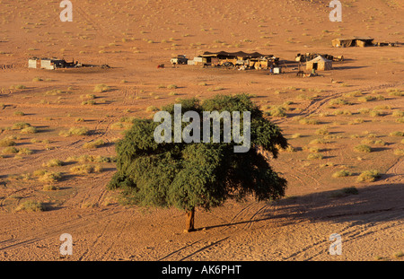 Baum und Beduinen-Camp in der Wüste Wadi Rum Jordan Stockfoto
