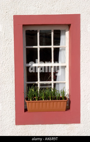 Fenster eines traditionellen Fischerdorfes in Fife Stockfoto
