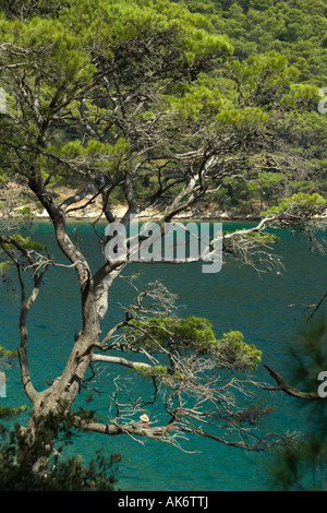 Salzige See Veliko Jezero oder großen See auf der Insel Mljet Kroatien Stockfoto