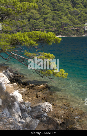 Salzige See Veliko Jezero oder großen See auf der Insel Mljet Kroatien Stockfoto