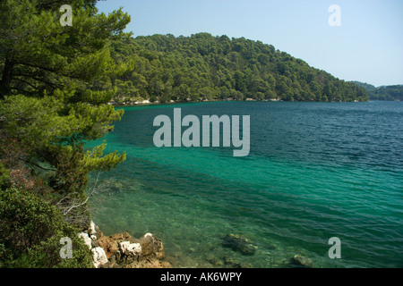 Salzige See Veliko Jezero oder großen See auf der Insel Mljet Kroatien Stockfoto