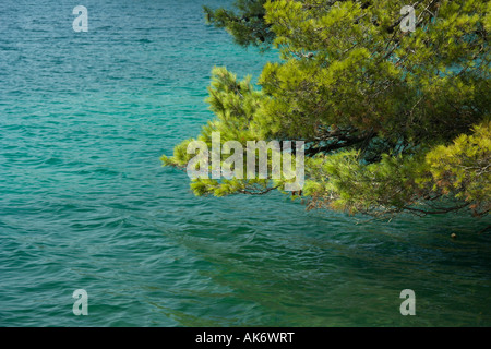 Salzige See Veliko Jezero oder großen See auf der Insel Mljet Kroatien Stockfoto