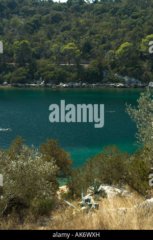 Salzige See Veliko Jezero oder großen See auf der Insel Mljet Kroatien Stockfoto