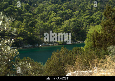 Salzige See Veliko Jezero oder großen See auf der Insel Mljet Kroatien Stockfoto