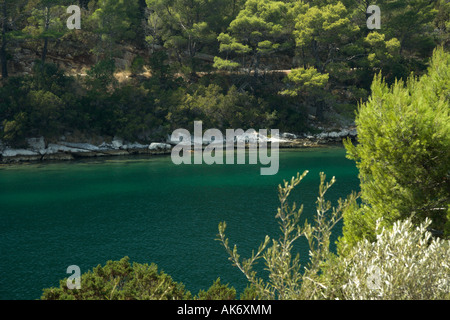 Salzige See Veliko Jezero oder großen See auf der Insel Mljet Kroatien Stockfoto