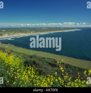 Blick nach Süden über Saunton Sands mit Braunton Burrows und Taw Flussmündung über North Devon England Stockfoto