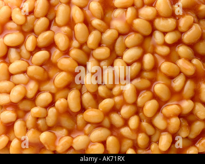 Gebackene Bohnen Stockfoto