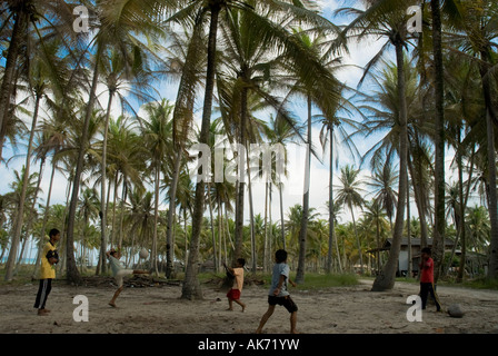 Einheimische Kinder spielen Fußball oder Fußball unter Hunderten von Kokospalmen in Terengganu, Malaysia Stockfoto