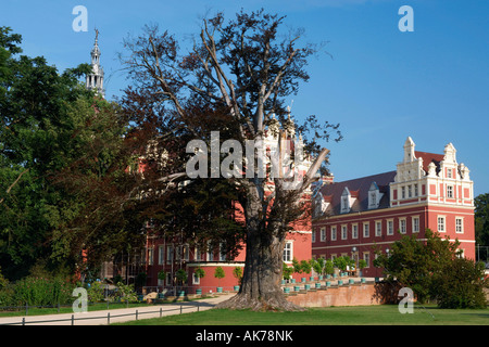 Neues Schloss / Bad Muskau Stockfoto