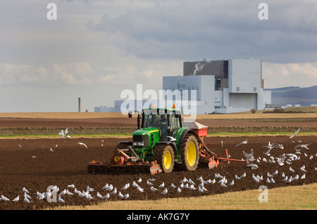 Der Kontrast zwischen Landwirtschaft und Industrie, Kernkraftwerk Torness, Schottland, UK Stockfoto