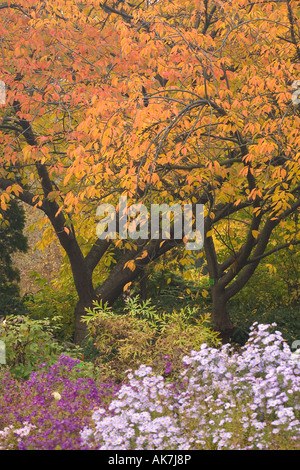 Farben des Herbstes Farben Herbst Farben Farben Stockfoto