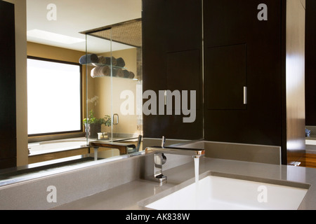 Moderne Badezimmer-Eitelkeit mit Reflexion der Whirlpool-Wanne Stockfoto