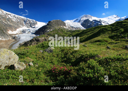 Gwaechtenhorn, 3420 m, Steingletscher am Sustenpass, Schweiz, Berner Oberland Stockfoto