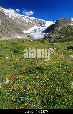 Gwaechtenhorn, 3420 m, Steingletscher am Sustenpass, Schweiz, Berner Oberland Stockfoto