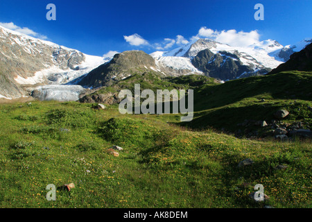 Gwaechtenhorn, 3420 m, Steingletscher am Sustenpass, Schweiz, Berner Oberland Stockfoto