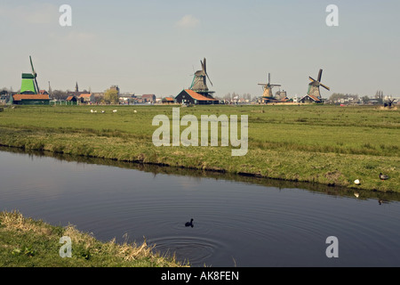 Windmühlen im Freilichtmuseum Zaanse Schans, De Gekroonde Poelenburg (links); De Kat (2. von links, De Zoeker (rechts), Niederlande Stockfoto