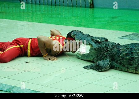 Siamesische Krokodil / Krokodil-show Stockfoto