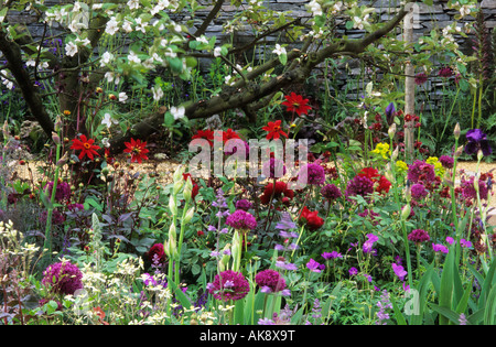 Chelsea FS 2003 Design: Fiona Lawrenson Kombinationsanlage. Quitte Baum. Cydonia Oblonga. Allium Giganteum. Dahlie. Iris Geranium Stockfoto