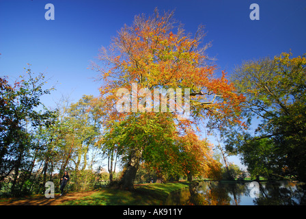 OXFORD Herbst Farben durch den Fluss Cherwell in Christ Church Meadow Stockfoto
