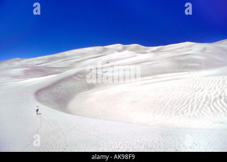 Sanddünen in der Wüste Stockfoto