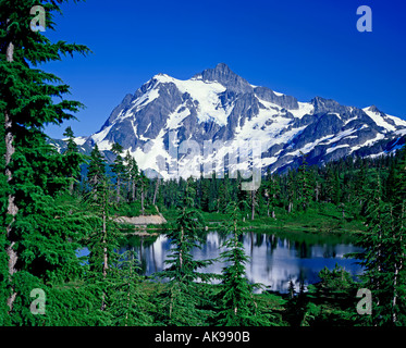 Mt Shuksan North Cascades National Park Washington State USA Stockfoto