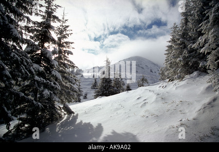 Mount Mala Chochula, Nizke Tatry Berge, Winter in der Slowakei Stockfoto