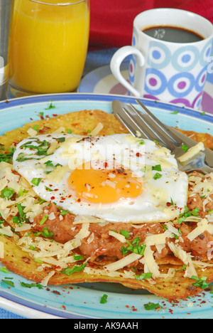Ein Frühstück im mexikanischen Stil der Huevos Rancheros: frittierte Maistortilla belegt mit Bohnenmus, geriebenen Käse und einem Spiegelei. Stockfoto