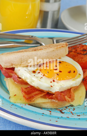 Ein Frühstück mit gegrillter Rücken Speck Speck, Cheddar-Käse und Spiegelei auf einem getoasteten englischen Muffin. Stockfoto