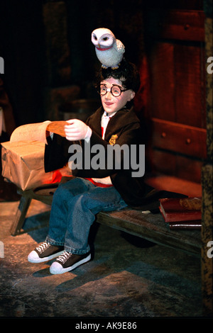 Harry und seine Eule Hedwig. Marschall Felder Urlaub Anzeige mit dem Titel: Haben Sie eine Harry-Potter-Weihnachten. Minneapolis Minnesota USA Stockfoto