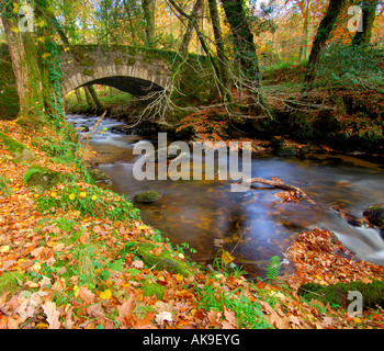 East Dart River auf Dartmoor Devon fließt durch den herbstlichen Wald mit einer steinernen Brücke über Stockfoto