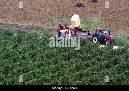 Erntemaschine im südlichen Frankreich Lezignan Corbieres Weinbaugebiet. Stockfoto