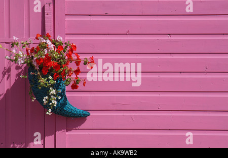 Rosa lackierten hölzernen Schuppen Wand Stockfoto