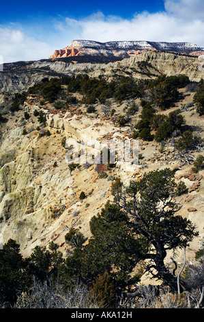 Grand Staircase Escalante Nationalmonument aus Highway 12 südlichen Utah USA Stockfoto